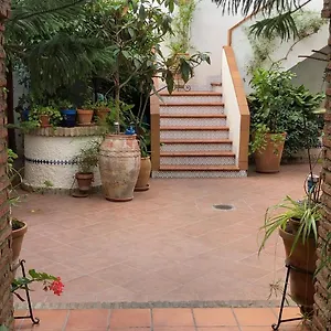 De Estreno En Patios Tipicos De San Basilio Cordova